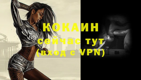 спиды Горно-Алтайск