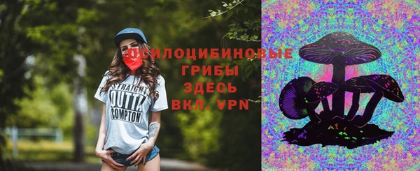 спиды Горно-Алтайск