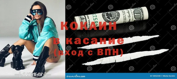 прущие грибы Гусев