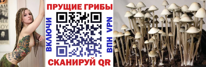 Купить закладки  Ермолино  Галлюциногенные грибы ЛСД 