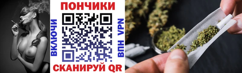Бошки Шишки сатива  Купить закладки  Ермолино 